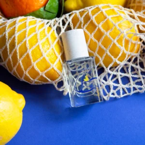 maison matine esprit de contradiction 15ml