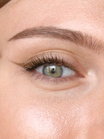 Sweed pencil Golden beetle - Bild 3