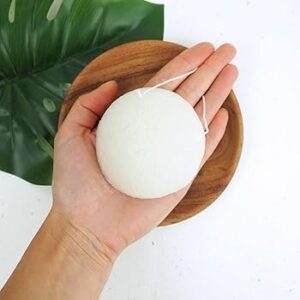Konjac svamp
