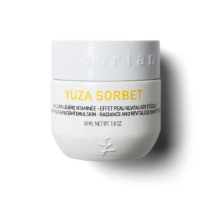 erborian Yuza Sorbet Day Cream